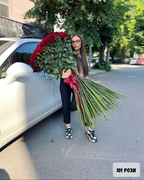 Букет от дълги (150 см) червени рози № 148